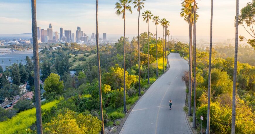 flights from houston to los angeles